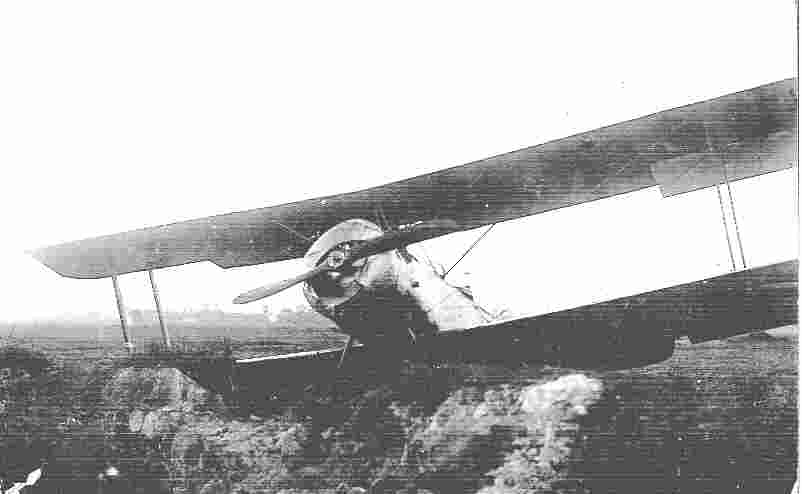 Sopwith Strutter #7046